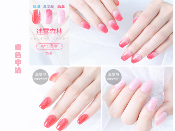 Color Cosmetic and Accessories